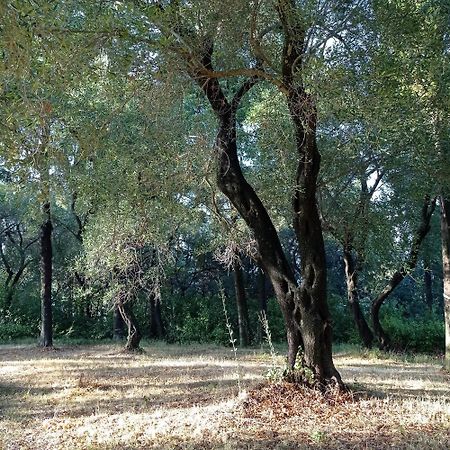 Villa Kefalomandouko Alepou ภายนอก รูปภาพ