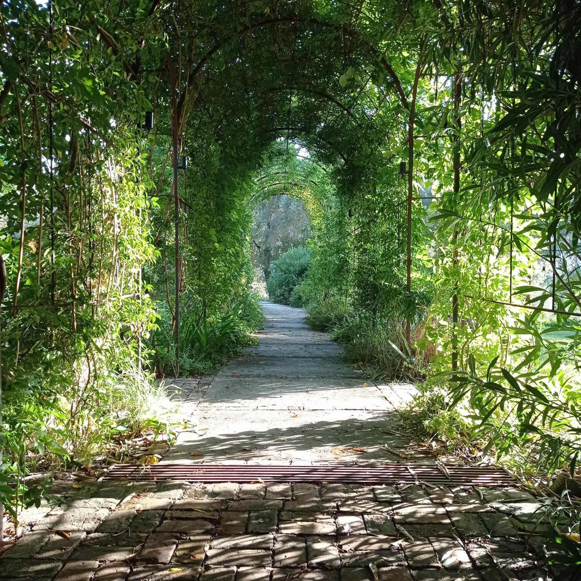 Villa Kefalomandouko Alepou ภายนอก รูปภาพ